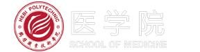 诸侯快讯ok1133
